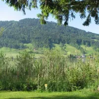camping-unteraegeri-unteraegeri-sem2c
