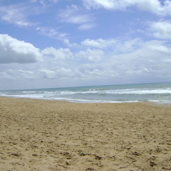 camping-le-sous-bois-longeville-sur-mer-do9zd