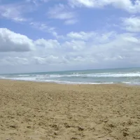 camping-le-sous-bois-longeville-sur-mer-do9zd