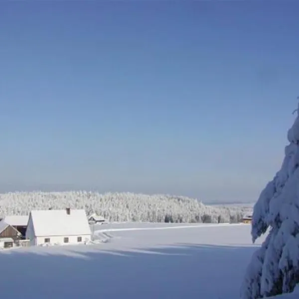 der-birkholmhof-urlaub-und-natur-brnau-flmt7