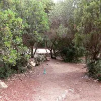 campeggio-portu-tramatzu-teulada-qmjuc