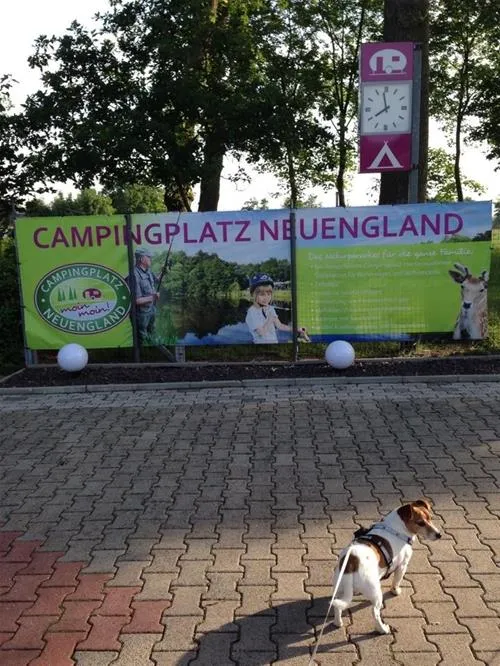 campingplatzneuengland-rhedeems-2d4g2