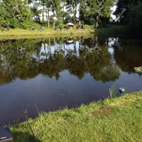 campingplatzneuengland-rhedeems-sodj9