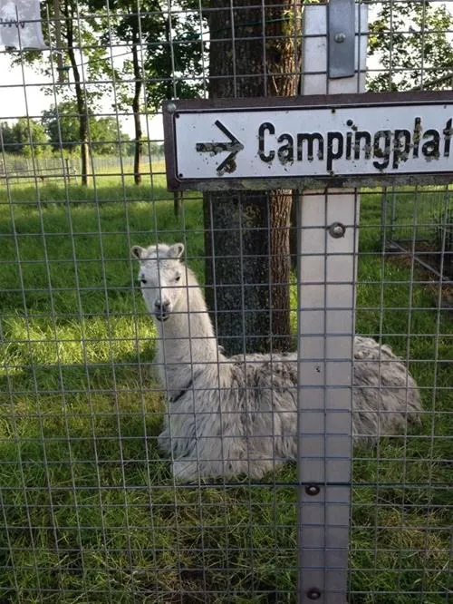 campingplatzneuengland-rhedeems-srpnz