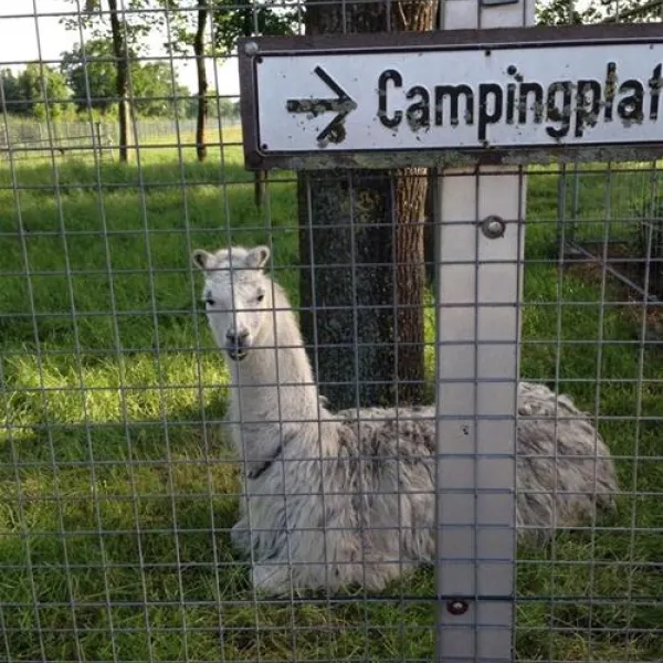 campingplatzneuengland-rhedeems-srpnz