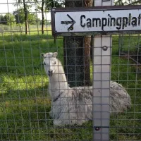campingplatzneuengland-rhedeems-srpnz