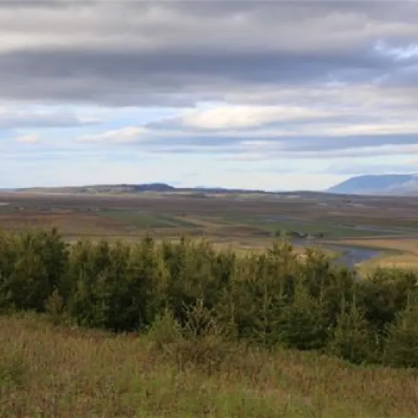 Varmahlid campsite