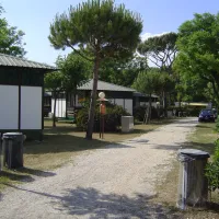 camping-malibu-beach-lido-di-jesolo-tezv0