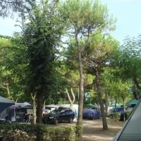 camping-malibu-beach-lido-di-jesolo-vmd8n