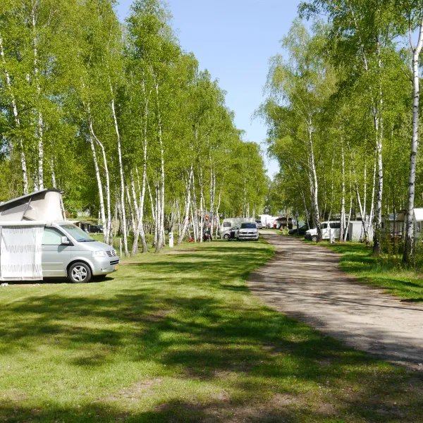 camping-und-wassersportpark-bergwitzsee-kemberg-ot-bergwitz-nil4r