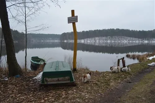 schervenzsee-camping-erholung-schernsdorf-0aoxx