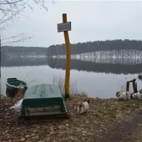 schervenzsee-camping-erholung-schernsdorf-0aoxx