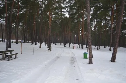schervenzsee-camping-erholung-schernsdorf-lzkox