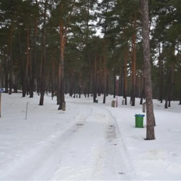 schervenzsee-camping-erholung-schernsdorf-lzkox
