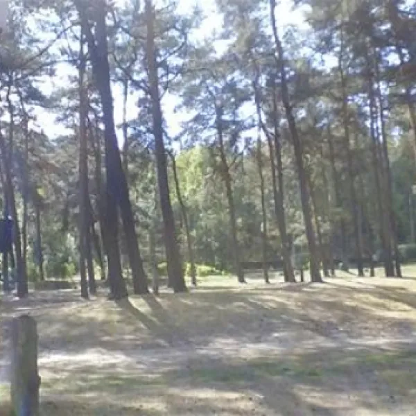 schervenzsee-camping-erholung-schernsdorf-t6dxt