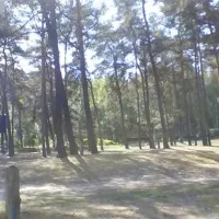 schervenzsee-camping-erholung-schernsdorf-t6dxt