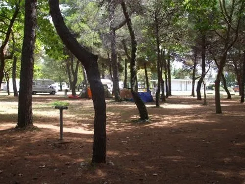 camping-borik-zadar-cudmg