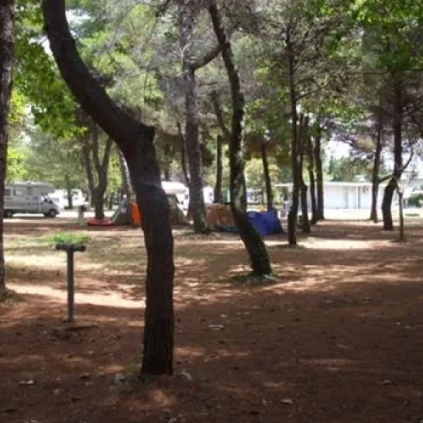 camping-borik-zadar-cudmg
