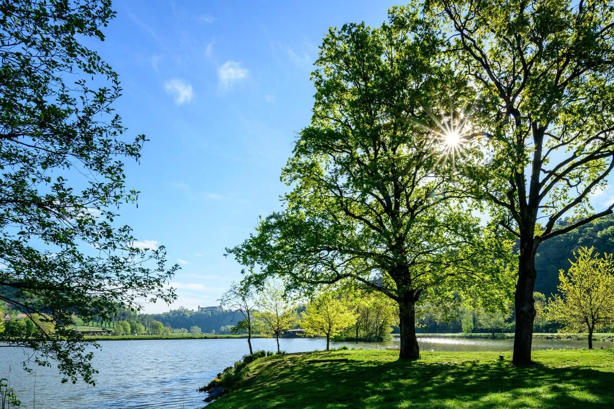 sulmsee_fj_21-014_78882774.f62aca98