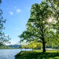 sulmsee_fj_21-014_78882774.f62aca98
