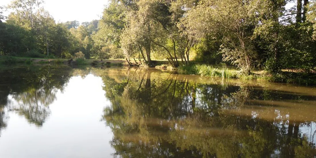 camping-moulin-de-la-geneste-condat-sur-ganaveix-jcyvc