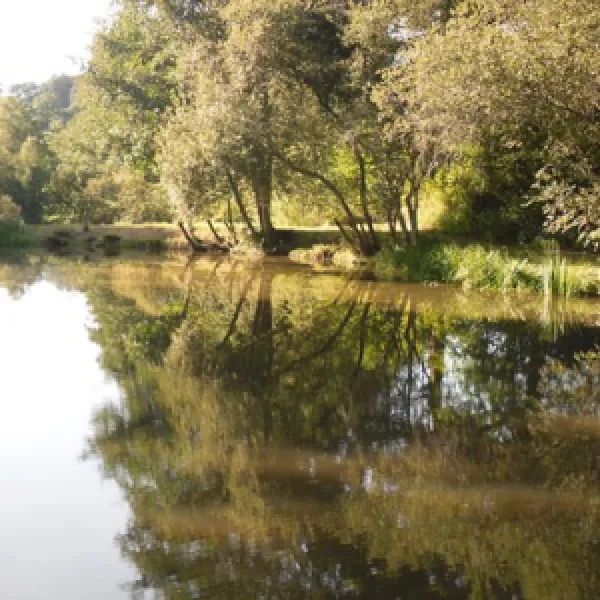 camping-moulin-de-la-geneste-condat-sur-ganaveix-jcyvc