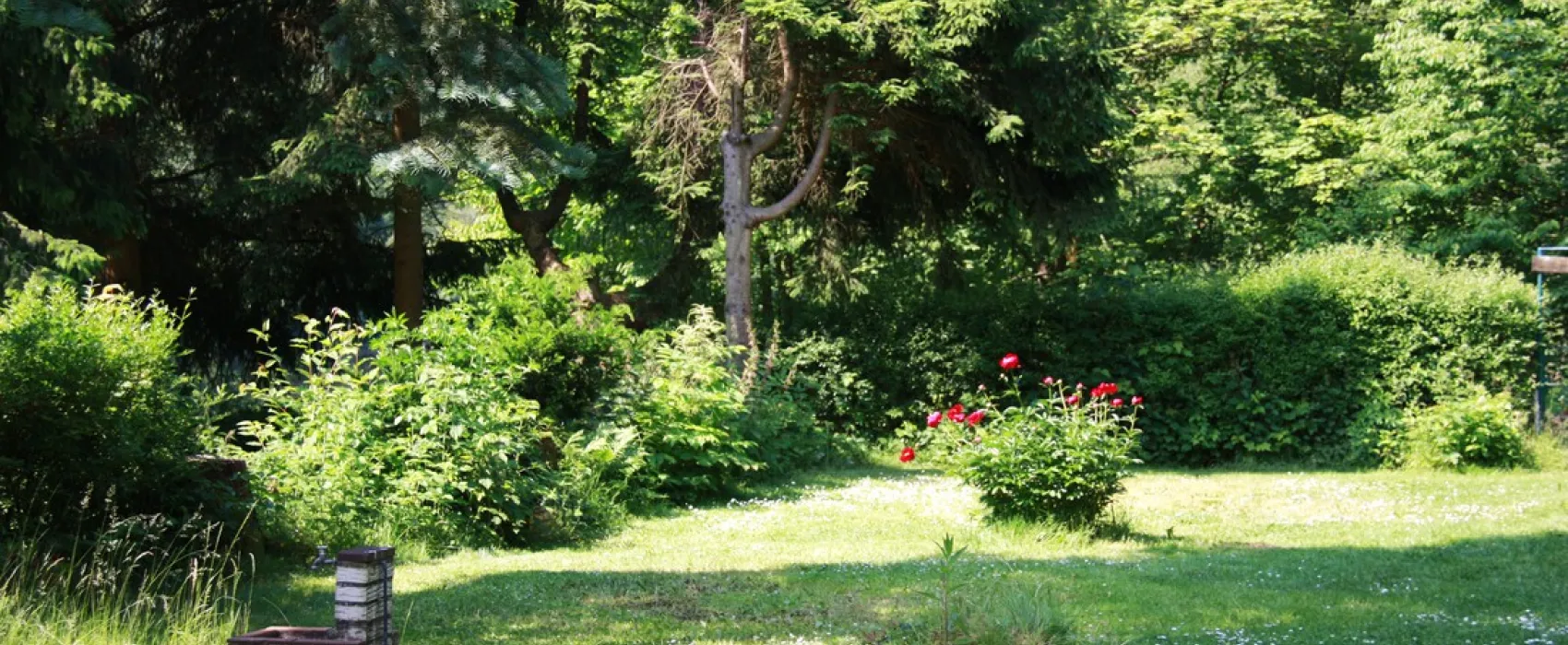Bergseecamp
