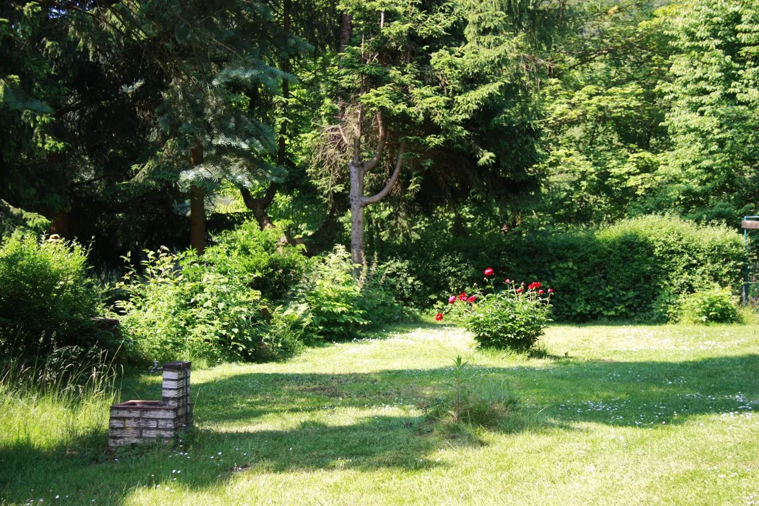 bergseecamp-delliehausen-ghvur
