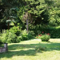 bergseecamp-delliehausen-ghvur