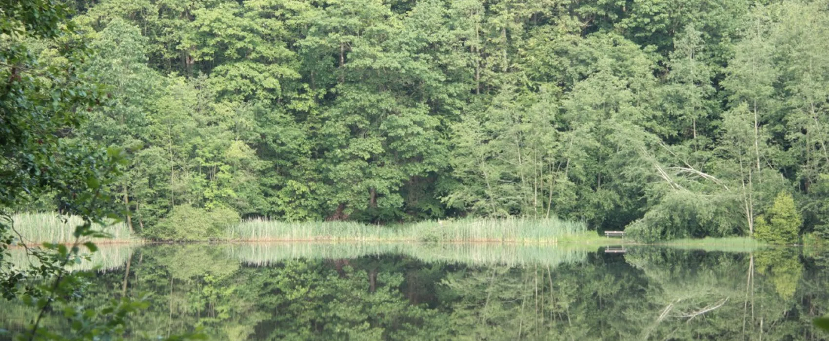 Bergseecamp