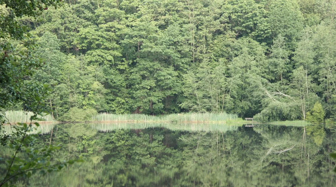 bergseecamp-delliehausen-scaqe