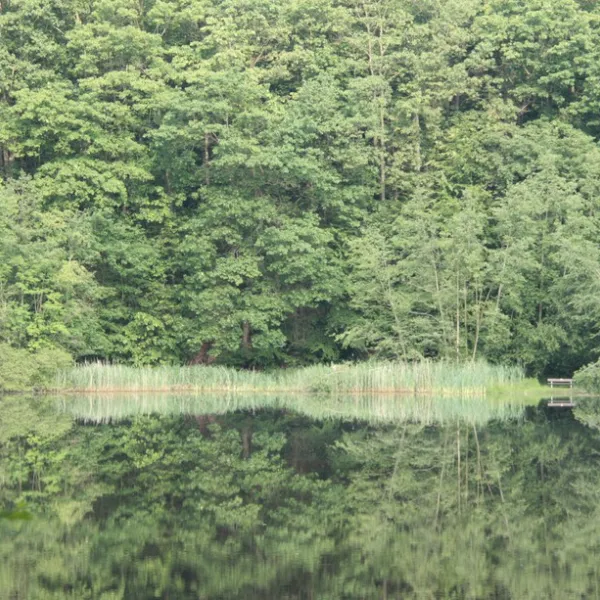 bergseecamp-delliehausen-scaqe