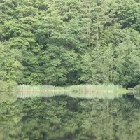 bergseecamp-delliehausen-scaqe