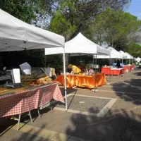 centro-vacanze-pradelle-torri-caorle-f9ee3