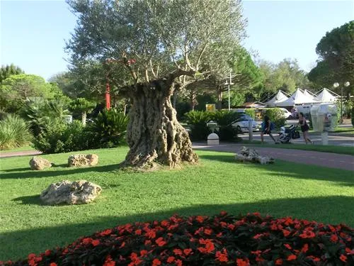 centro-vacanze-pradelle-torri-caorle-vndne