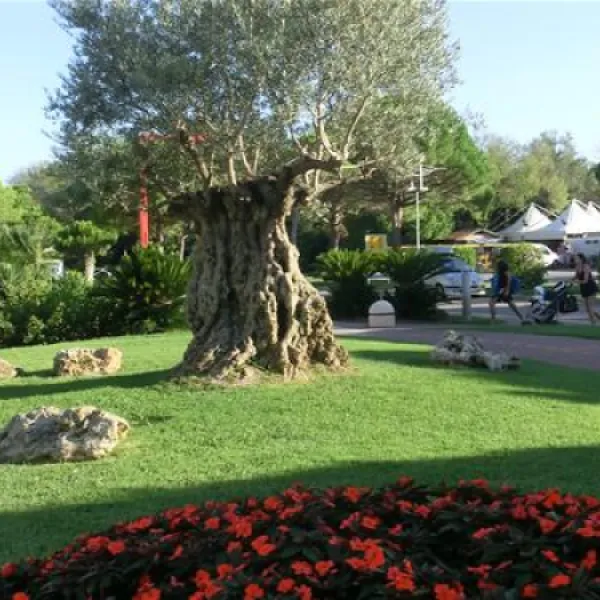 centro-vacanze-pradelle-torri-caorle-vndne