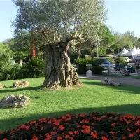 centro-vacanze-pradelle-torri-caorle-vndne