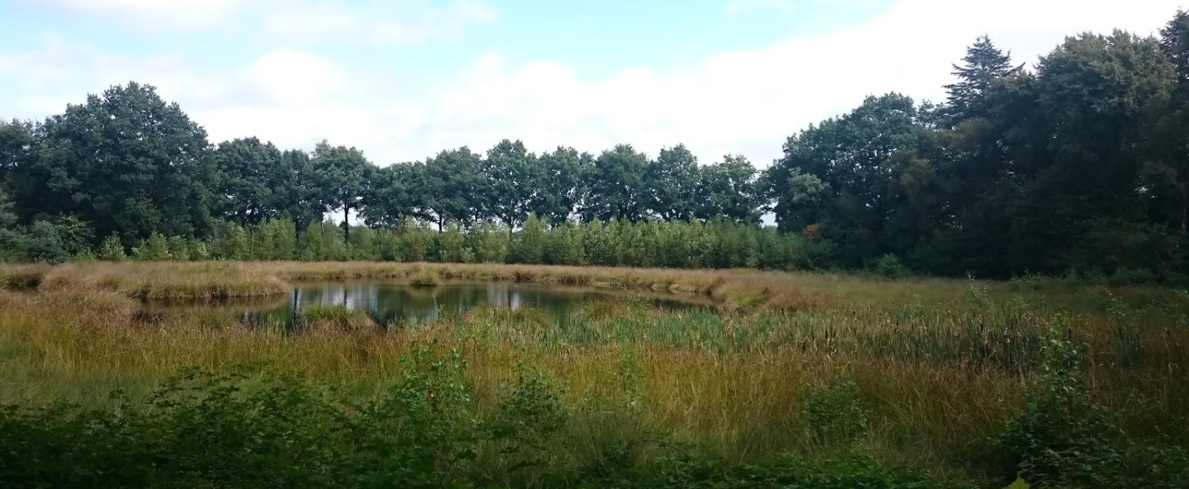 Natuurkampeerterrein De Slangenborg