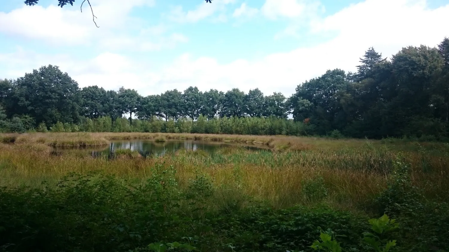 natuurkampeerterrein-de-slangenborg-sellingen-6p2y0