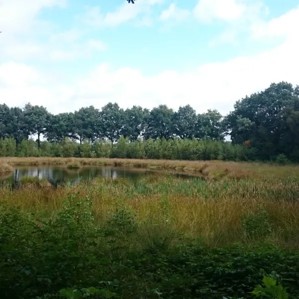 Natuurkampeerterrein De Slangenborg