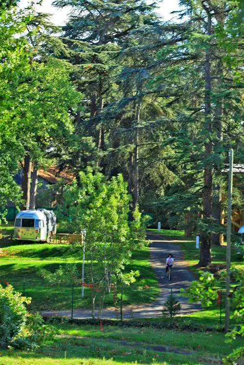 albirondack-parc-albi-c8kpg