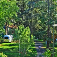 albirondack-parc-albi-c8kpg