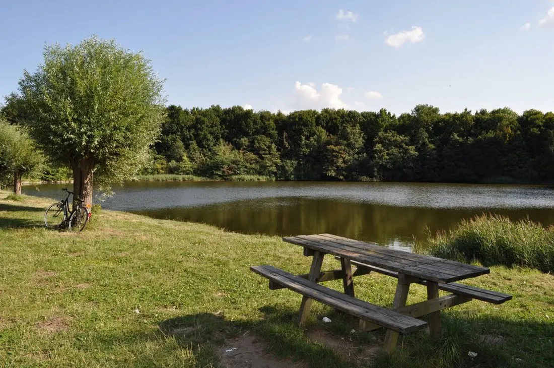 camping-den-inkel-kruiningen-83f1v