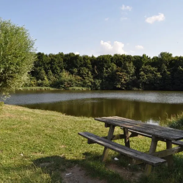 camping-den-inkel-kruiningen-83f1v