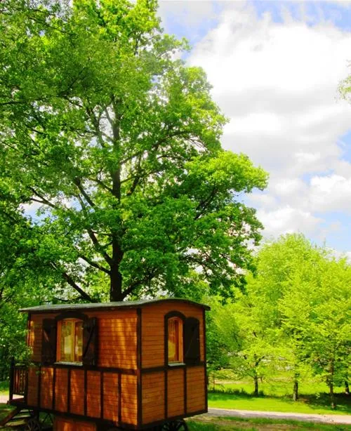 camping--du-mettey-vagney-zzw8k