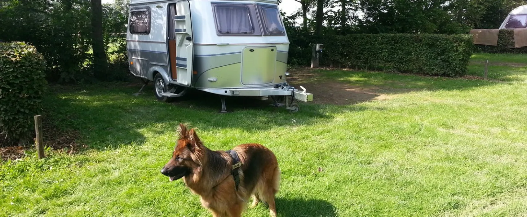 Camping Raayerhof