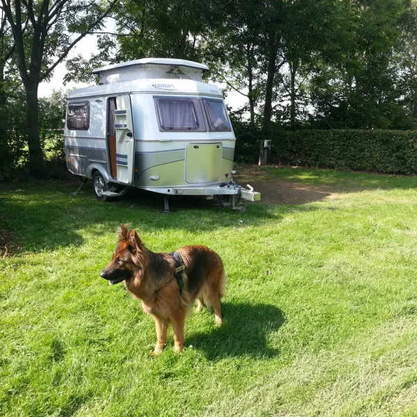 camping-raayerhof-swalmen-aqjmw