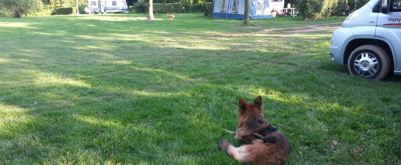 Camping Raayerhof