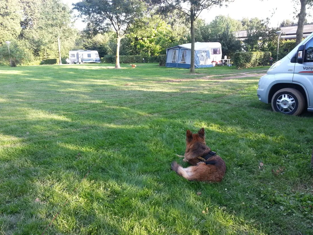camping-raayerhof-swalmen-kjprb