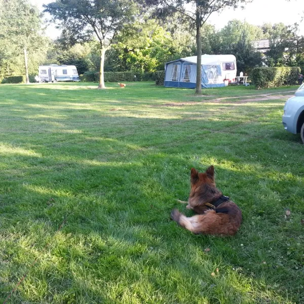 camping-raayerhof-swalmen-kjprb